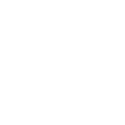 OKBet Review Basketball